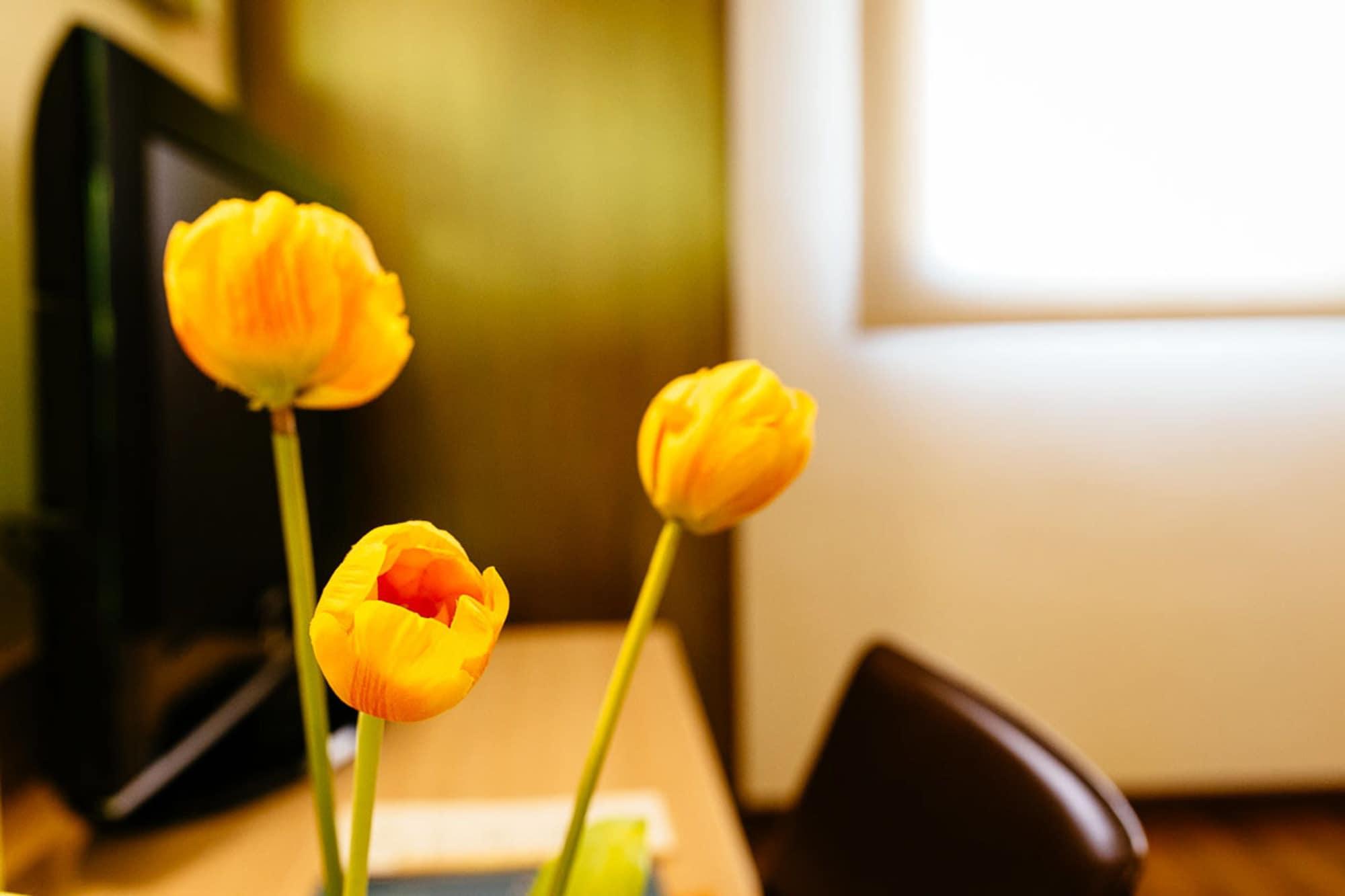 Hotel L'Algadir Del Delta El Poble Nou del Delta Ngoại thất bức ảnh
